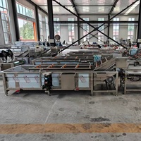 Industriële bubbelwasmachine, transportbandtype, groentewasapparatuur voor voedselverwerkingsbedrijven