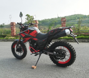 China 125cc 200cc <strong>250cc</strong> EEC <strong>Motorcycles</strong> FUEGO TEKKEN250 FUEGO <strong>Motorcycle</strong> Cheap for Sale 11190113 - Product Image 6