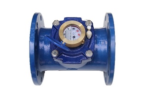 Compteur d'eau Woltman à raccordement par bride de type sec DN50 à DN300, OEM, garantie 1 an - Product Image 2