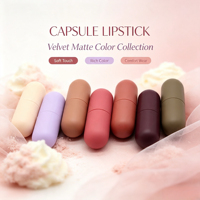 LSFAIRY Macaron Cute Matte Capsule Lipstick Set Waterproof Transfer Proof Long Lèvres durables Maquillage quotidien Logo personnalisé Vente en gros