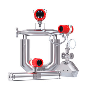 FCC-300 数字式科里奥利质量流量计 316L 不锈钢 4-20mA RS485 Modbus HART 输出，适用于石油和天然气 - Product Image 2