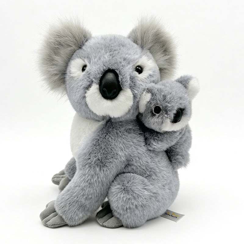 Carrying the baby koala