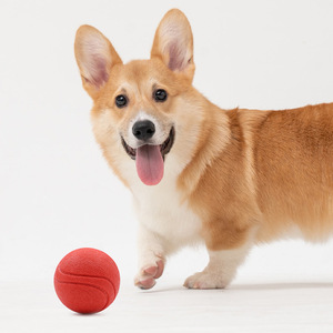 Juguete de tenis para mascotas de goma de estilo Simple de dibujos animados, pelota de entrenamiento <span class=keywords><strong>Micro</strong></span> elástica para perros de nivel 2, suministros de pelota de estilo básico - Product Image 6