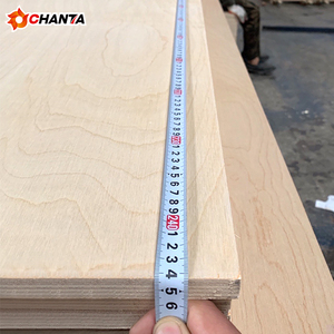 <span class=keywords><strong>Tablero</strong></span> de <span class=keywords><strong>Contrachapado</strong></span> de Abedul Blanco 100% Recubierto con Resina Fenólica Chanta de 12 mm y 18 mm - Product Image 4