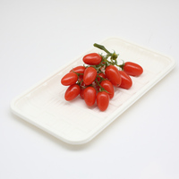 Plateau rectangulaire de nourriture d'amidon de maïs biodégradable jetable écologique de vente chaude pour la fête de Noël d'anniversaire