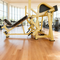 Máquina de remo comercial para gimnasio, equipo de fitness para estiramiento de espalda, entrenador de remo sentado de alta intensidad