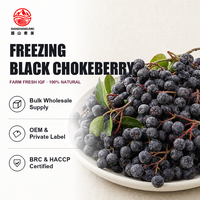 Diepvries Zwarte Chokeberry Aronia Bes IQF Gehele Vruchten 10kg Karton Groothandel OEM Leverancier