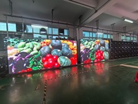 Módulos LED P1.53 P1.86 P2.0 P2.5 P3 P4 P5 P6 para Interiores y Exteriores, Listos para Enviar, para Tiendas Minoristas, Educación, Animación y Exhibición