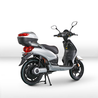 Moto électrique de course FST 800W, batterie au plomb-acide 48V 20AH, certificat EEC COC CE, vitesse maximale 40 km/h