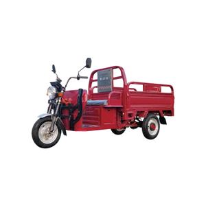 <span class=keywords><strong>Triciclo</strong></span> Eléctrico de Carga Súper Potente, Triciclos Eléctricos para Adultos - Product Image 5