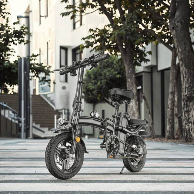 Made in China Electric Bicycle 3 Speed Folding Lithium Battery 600w Electronic Digital for Lightweight Fashion E-bike Sale