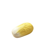 Jouet Squishy Réaliste en Forme de Chou en EVA à Remontée Lente, Anti-Stress et Décompression pour Adultes, Vente en Gros Zhejiang