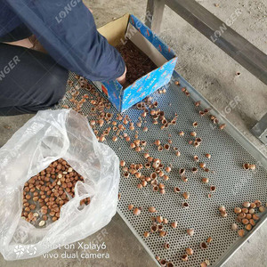 Macchina Sbucciatrice di Alta Qualità <span class=keywords><strong>per</strong></span> Mandorle, <span class=keywords><strong>Nocciole</strong></span> e Noci di Palma - Product Image 6