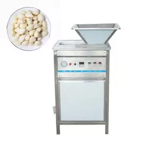 Hot sale horizontal garlic peel machine peeled garlic machine price with reasonable price