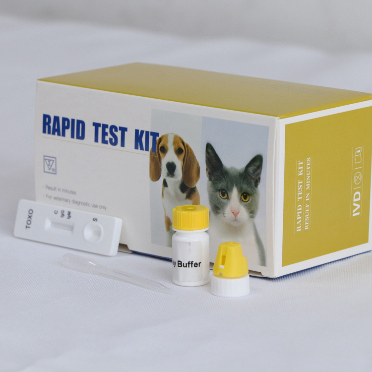 Kit de Prueba Rápida de Mascotas para Pruebas de Diagnóstico Rápido de Gato FPV / FCoV / Giardia
