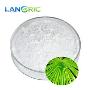 中国のサプライヤーによるノコギリヤシ抽出物粉末（脂肪酸25％、45％含有） - Product Image 3