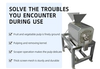 Máquina Despulpadora de Acero Inoxidable de Una Etapa, Extractor de Jugo Industrial Personalizado, Máquina para Hacer Jugo de Frutas