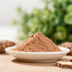 天然植物提取物牛蒡根提取物粉末10% 30% 牛蒡 - Product Image 2