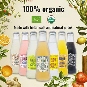 Fabriqué en Espagne, nouvelle boisson gazeuse au gingembre biologique, faible en calories, Refresco, boisson biologique 200 ml - Product Image 6