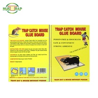 Piège à souris collant jaune Chroma-Attractant à haut rendement pour solutions de lutte biologique contre les parasites