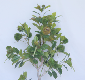 Árbol de Castaño Artificial Realista con Frutos y Follaje Detallados, Árbol Decorativo Premium para la Cosecha de Otoño y Diseño de Interiores - Product Image 5