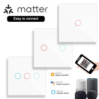 UK EU Standard Matter Light Switch WiFi Smart Touch Wall 1 2 3 Gang 240V Alexa Télécommande Homekit Matter Switches