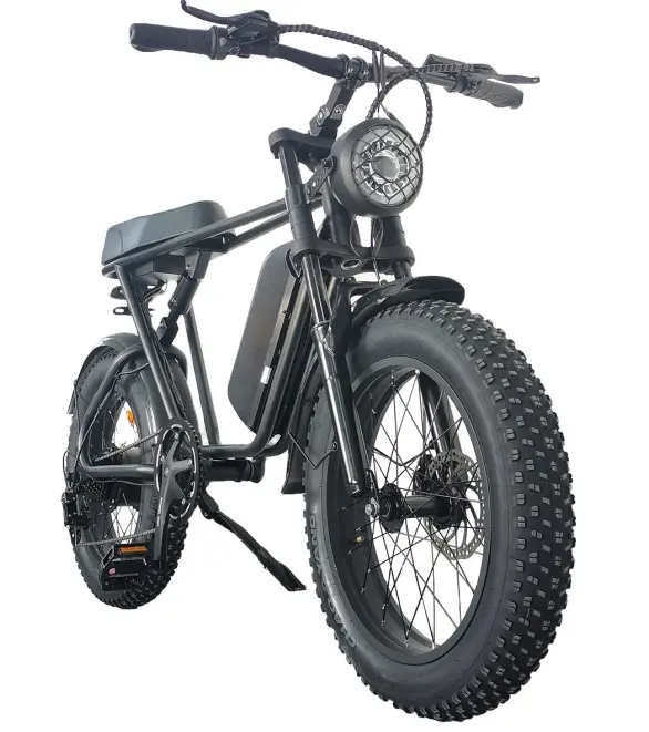 مستودع الولايات المتحدة شحن مجاني 20 بوصة الإطارات الدهون المدينة E الدراجة التنقل الحضرية دراجة كهربائية شاشة LCD دراجة كهربائية