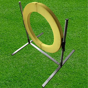 समिपेट प्रत्यक्ष कारखाना आउटडोर कुत्ते चपलता प्रशिक्षण उपकरण कस्टम वजन प्लास्टिक टायर कूप कूद कुत्ते कॉलर प्रशिक्षण - Product Image 3