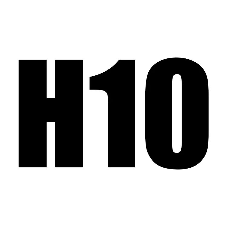 H10