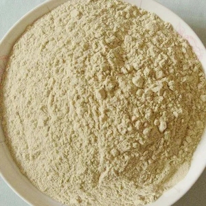 Htfoodie Nhà máy cung cấp trực tiếp miễn phí của ô nhiễm ngay lập tức khô tinh khiết kiều mạch bột Bữa ăn thay thế chất lượng bột Nhà cung cấp - Product Image 2