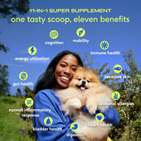 Supplément multivitaminé de qualité supérieure pour animaux de compagnie Glucosamine Chondroïtine Poudre pour chiens chiots Animaux adultes Suppléments de soins de santé pour animaux de compagnie