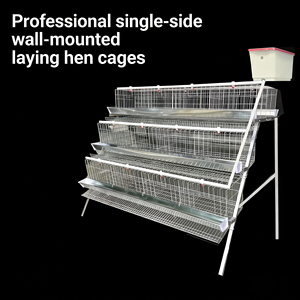 Equipo de Cría de Pollos de Engorde Automático, Jaula para Pollos de Engorde <span class=keywords><strong>Tipo</strong></span> Poultry, <span class=keywords><strong>Gallinero</strong></span> para Nigeria - Product Image 3