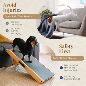 Rampa per Animali Domestici JIUZE in Legno Massiccio di Lusso, Pieghevole e Portatile, Gradino Regolabile per Cani da Esterno con Tappetino Antiscivolo, Sostenibile - Product Image 2