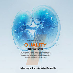 Thé détox rénal amincissant rapide en gros d'usine 14 jours pour adultes supplément nettoyant pour le corps détox en poudre OEM - Product Image 4