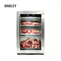 Mini-réfrigérateur à viande séchée UV en acier inoxydable avec compresseur électrique, refroidissement par air, sans givre, pour bœuf séché, usage hôtelier et domestique