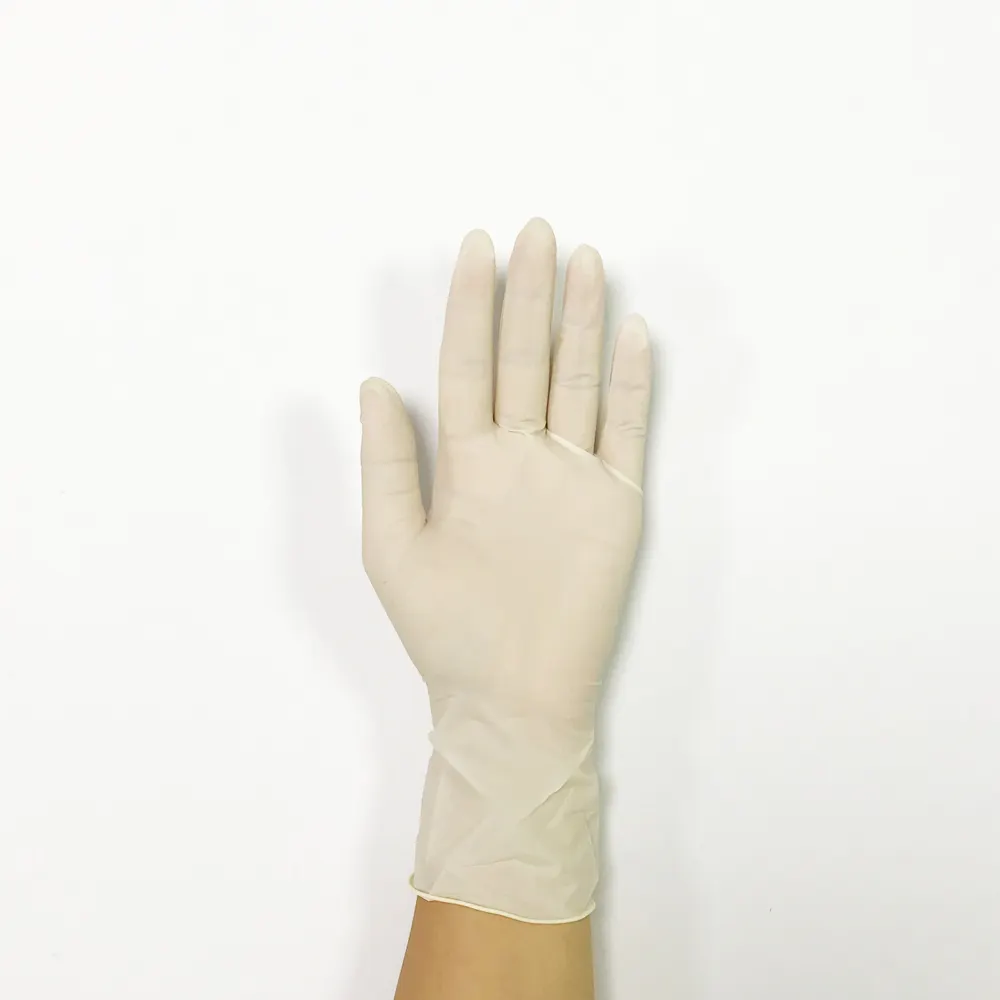 Latex bột kiểm tra Găng tay dùng một lần