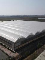 Gebruikt voor thuisgroenteteelt, multi-span landbouwkassen, stalen constructie, plastic kas, te koop.