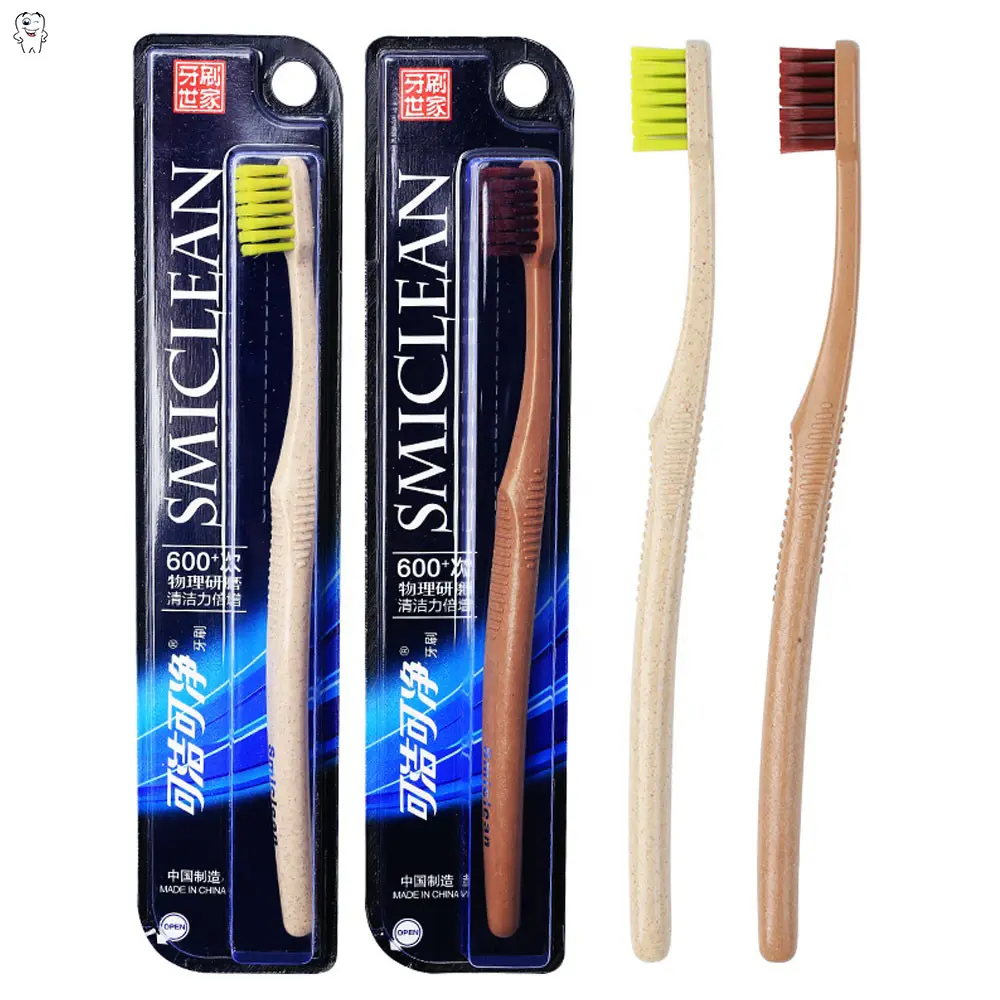 प्राकृतिक बांस दांत ब्रश बांस लकड़ी के मामले के साथ 100% biodegradable टूथब्रश
