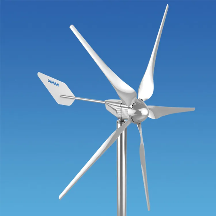 Hochwertige netz unabhängige 48V Max 1KW 5 Schaufeln ISO CE ROHS SAA horizontale Windkraft anlage