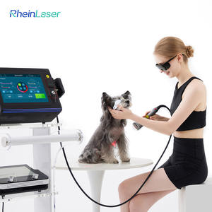 Machine de traitement de soulagement de la douleur de thérapie laser vétérinaire de classe 4 pour la récupération rapide des animaux - Product Image 4