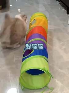 Túnel para Gatos Transfronterizo, Túnel Arcoíris para Gatos, Juguete Plegable Interactivo para Autoentretenimiento, Sin Dolor - Product Image 4