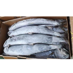 Pescado Atún Congelado IQF de 100-200g, Grado A, Venta al por Mayor de China, al Mejor Precio - Product Image 4