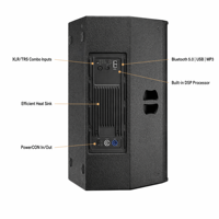 Altavoz Activo Profesional Pro Audio IQ-10 de 500W RMS y 10 Pulgadas con DSP, Sistema de PA de Alta Resolución y Rango Completo