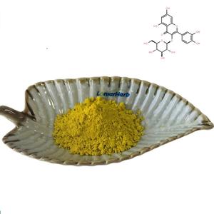 イソケルセチン粉末95% CAS 482-35-9天然Sophora Japonicaエキスメーカー供給 - Product Image 1