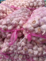 Hete Aanbieding Topkwaliteit Verse Knoflook Normale Witte Knoflook Klaar voor Export