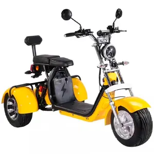Amoto new model three wheels scooter motorcycle 1500w/2000w/3000W 60v electric tricycles motor cycle citycoco
