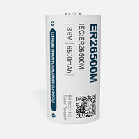 Cellule de type C ER26500+SPC1520 /SPC1530 3,6 V personnalisée en usine pour compteurs intelligents d'électricité/d'eau/d'essence NB-IoT, LoRaWAN, GPS
