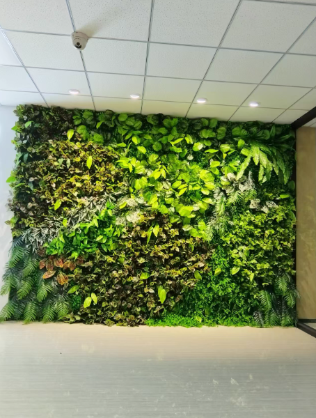 ความสว่างของภูเขา/ ㎡