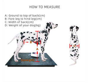 Geri arka bacaklar için ayarlanabilir pet köpek tekerlekli sandalye engelli köpekler küçükten ekstra büyük <span class=keywords><strong>2</strong></span> tekerlekler - Product Image 3