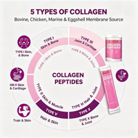 Poudre de Collagène Marin Hydrolysé – Complément de Peptides de Collagène en Sachet Stick pour la Peau (Femmes, Hommes, Adultes)